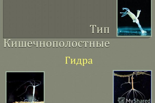 Как зарегистрироваться на кракене из россии