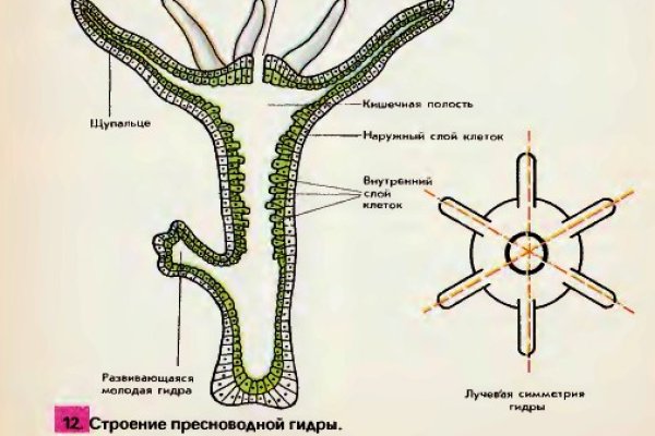 Магазин кракен дарк